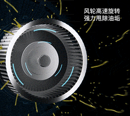 1597469933297693.gif 640.gif