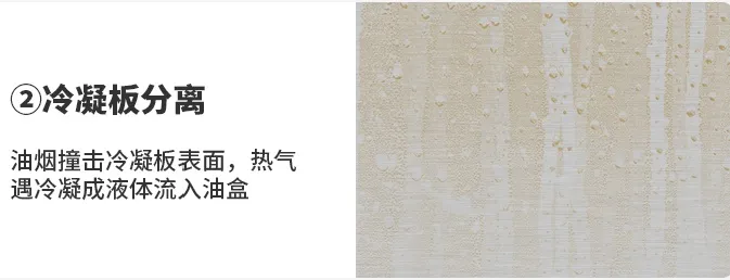 1597469945594655.png 050174df1af1d1789a3bb47f7d1056e.png