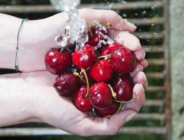 車?yán)遄幼杂闪藚s不敢吃？佳歌幫你另辟蹊徑暢享美食