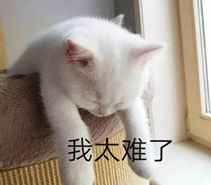 時(shí)間很急，美味告急！幸好有佳歌A6DZK蒸烤獨(dú)立集成灶！