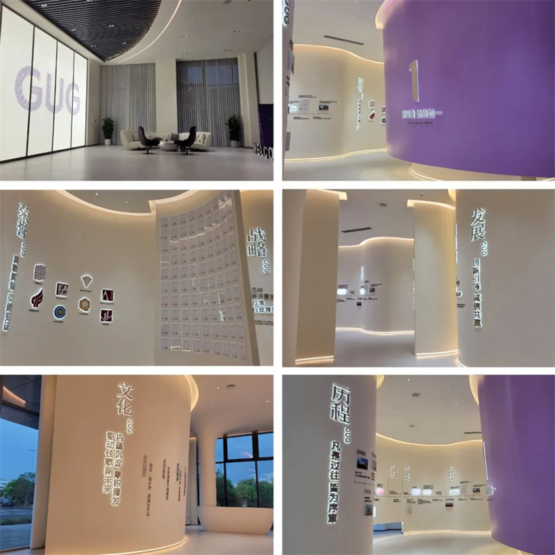 紹興市市場監(jiān)督管理局領導一行蒞臨佳歌二期智能化新工廠參觀考察！