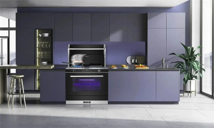 佳歌A5二星消毒柜款集成灶，守護(hù)家人的健康！