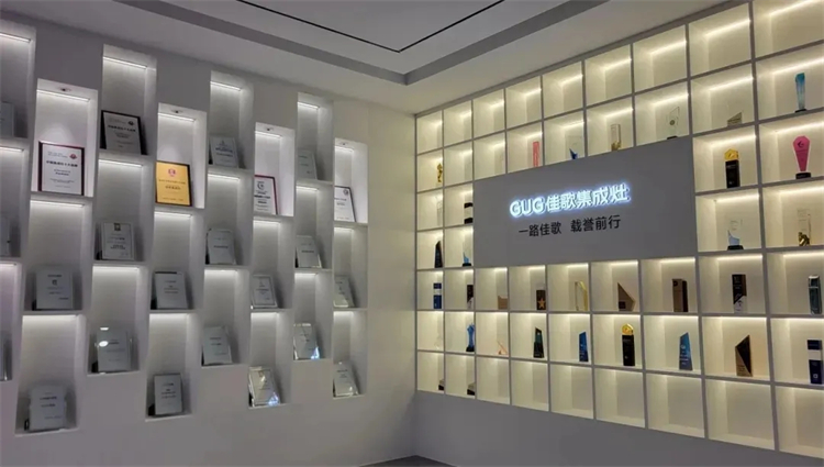 嵊州市委常委陳鑫云一行蒞臨佳歌二期智能化新工廠參觀考察！